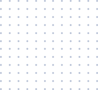 Prezentare Generală a Companiei